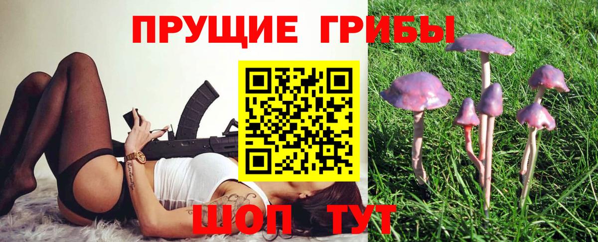 купить   Галлюциногенные грибы мицелий  Вход с VPN  Малгобек 